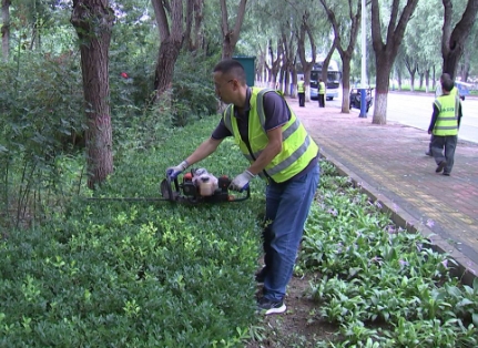 提升养护水平 发挥生态效益——三河经济开发区