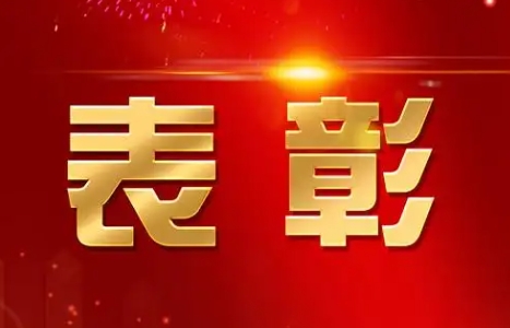 三河市2024年优秀企业表彰名单