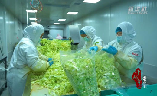 农产品抢“鲜”进京保供应